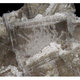 Fluorite with Pyrite phantoms - La Viesca  M04187